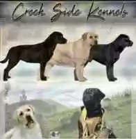 Free download The Creekside Kennel free photo or picture to be edited with GIMP online image editor