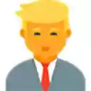 The Daily Shows President Florida Man Plugin  screen for extension Chrome web store in OffiDocs Chromium