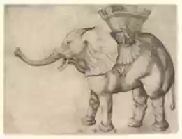 Free download The Elephant free photo or picture to be edited with GIMP online image editor