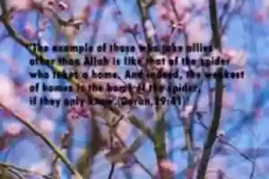 Free download The Example Of Those Who Take Allies free photo or picture to be edited with GIMP online image editor
