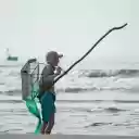 The fisherman and the cage  screen for extension Chrome web store in OffiDocs Chromium