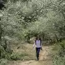 The girl and the flower forest  screen for extension Chrome web store in OffiDocs Chromium