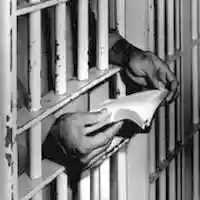 Free download The Great Escape 209 X 209 free photo or picture to be edited with GIMP online image editor