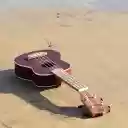 The guitar and the sea  screen for extension Chrome web store in OffiDocs Chromium