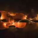 The guitar lights up the future  screen for extension Chrome web store in OffiDocs Chromium