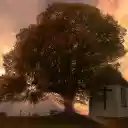 The house under the tree  screen for extension Chrome web store in OffiDocs Chromium