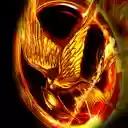 The Hunger Games Theme 2  screen for extension Chrome web store in OffiDocs Chromium