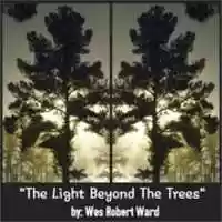 Free download The Light Beyond The Trees free photo or picture to be edited with GIMP online image editor