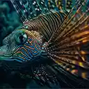 The lionfish shows off its yellow  screen for extension Chrome web store in OffiDocs Chromium