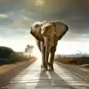 The Majestic Elephant: A Gentle Giant of the Wild  screen for extension Chrome web store in OffiDocs Chromium