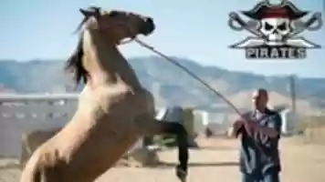 Free download THEMUSTANG 2 free photo or picture to be edited with GIMP online image editor