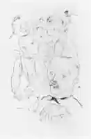 Free download The New Generation (Nachwuchs) free photo or picture to be edited with GIMP online image editor