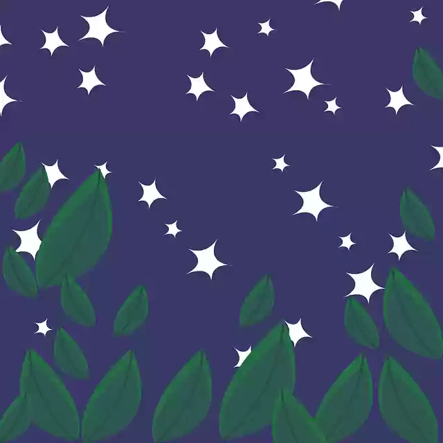 Free download The Night Sky Star - Free vector graphic on Pixabay free illustration to be edited with GIMP free online image editor