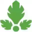 The Parse.ly Validator  screen for extension Chrome web store in OffiDocs Chromium