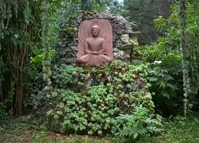 Free download The Plum Dordogne -  free photo or picture to be edited with GIMP online image editor