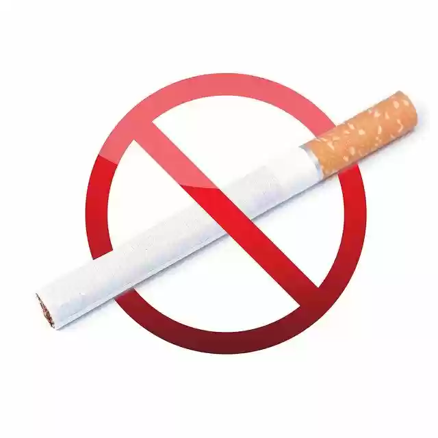 Free download The Prohibition Of Smoking -  free photo or picture to be edited with GIMP online image editor