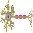 The Protector  screen for extension Chrome web store in OffiDocs Chromium