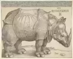 Free download The Rhinoceros free photo or picture to be edited with GIMP online image editor