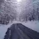 The road is cold  screen for extension Chrome web store in OffiDocs Chromium