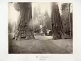 Free download The Sentinels, 315 feet, Yosemite free photo or picture to be edited with GIMP online image editor