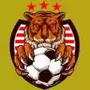 The Sporting Spirit of The Tiger  screen for extension Chrome web store in OffiDocs Chromium