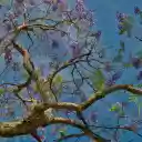 The tree blooms purple flowers  screen for extension Chrome web store in OffiDocs Chromium