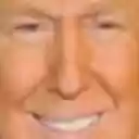 The Trumpwall  screen for extension Chrome web store in OffiDocs Chromium