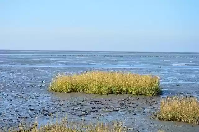 Free download The Wadden Sea Of -  free photo or picture to be edited with GIMP online image editor