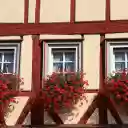 The windows are full of flowers  screen for extension Chrome web store in OffiDocs Chromium