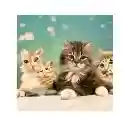 This Cat Does Not Exist New Tab  screen for extension Chrome web store in OffiDocs Chromium