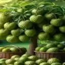 thorny fruit wallpaper  screen for extension Chrome web store in OffiDocs Chromium