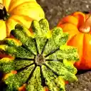 Three pumpkins  screen for extension Chrome web store in OffiDocs Chromium