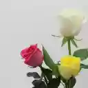 Three roses  screen for extension Chrome web store in OffiDocs Chromium