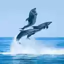Three whales wallpaper  screen for extension Chrome web store in OffiDocs Chromium