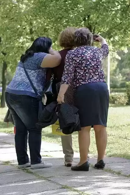 Free download Three Women Fat Taking Pictures Of -  free photo or picture to be edited with GIMP online image editor