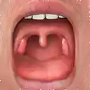 throat to thrussy v. 1.0  screen for extension Chrome web store in OffiDocs Chromium