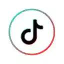 Tictok Downloader Assistant  screen for extension Chrome web store in OffiDocs Chromium