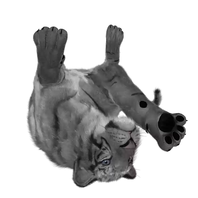 Free download Tiger Animal Wildlife -  free illustration to be edited with GIMP free online image editor