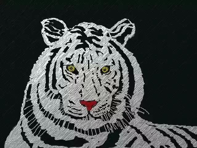 Free download Tiger Big Cat Animal -  free illustration to be edited with GIMP free online image editor