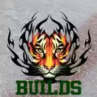 Free download Tiger Builds free photo or picture to be edited with GIMP online image editor