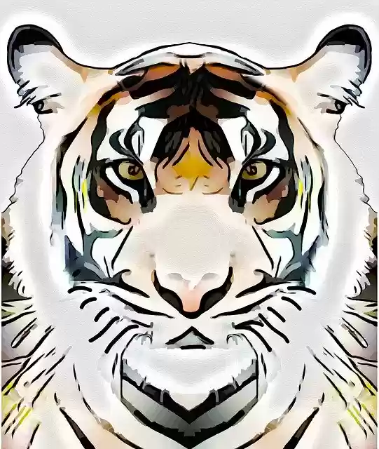 Free download Tiger Cat Predator -  free illustration to be edited with GIMP free online image editor