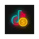 TikTok Coin Calculator  screen for extension Chrome web store in OffiDocs Chromium