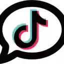 TikTok Comment Exporter  screen for extension Chrome web store in OffiDocs Chromium