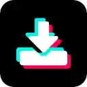 TikTok Downloader  screen for extension Chrome web store in OffiDocs Chromium