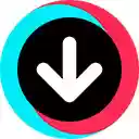 TikTok followers export to CSV tool  screen for extension Chrome web store in OffiDocs Chromium