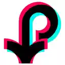 OffiDocs ChromiumのChromeウェブストア拡張機能のTikTokビデオダウンローダー画面