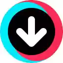 TikTok Video Keeper  screen for extension Chrome web store in OffiDocs Chromium