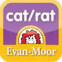 Timed Test: Word Families  screen for extension Chrome web store in OffiDocs Chromium