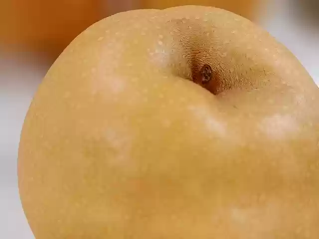 Free download Times Cool Autumn -  free photo or picture to be edited with GIMP online image editor