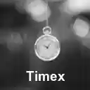 TIMEX  screen for extension Chrome web store in OffiDocs Chromium